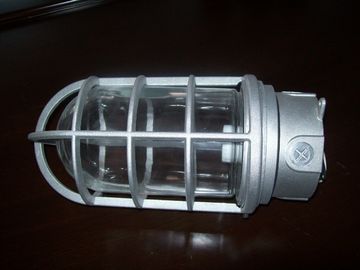 PL100W, éclairage en aluminium de preuve de la vapeur 200W, lumière anti-déflagrante de Philips avec la BV CSA